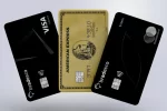 cartao-credito-infinite-black-amex-anuidade-gratis-bradesco-capa-2048x1074
